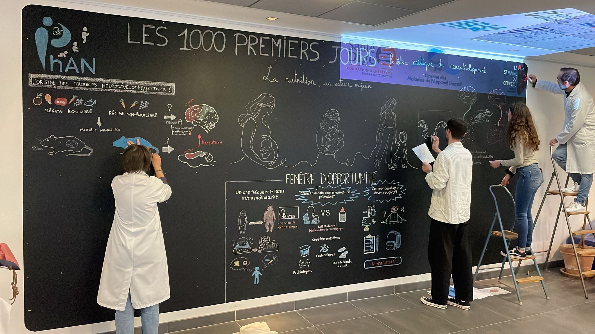 o tableaux cr&eacute;ation