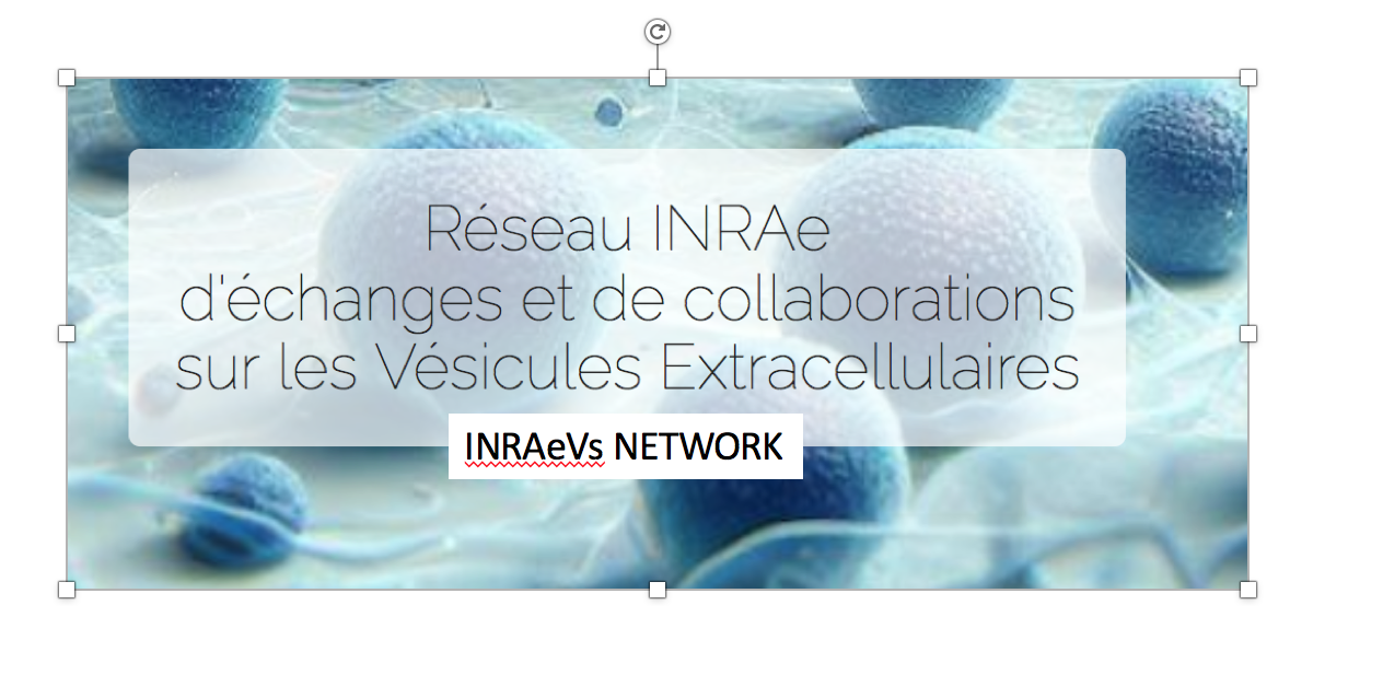 logo-réseau-EVs-INRAE.png