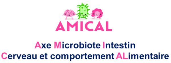 Axe Microbiote Intestin Cerveau et comportement ALimentaire