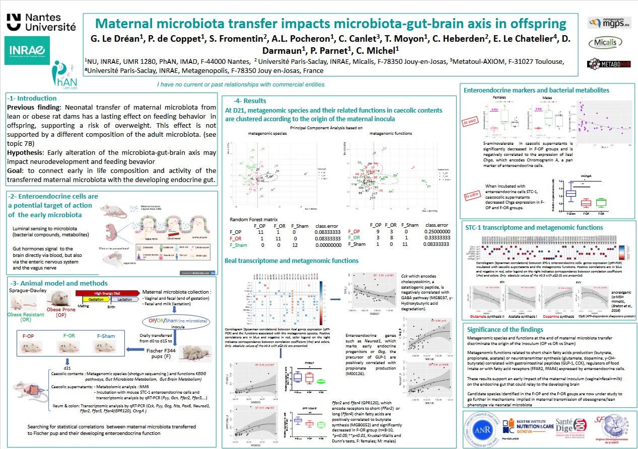 Maternal microbiota transfer impacts microbiota-gut-brain axis in offspring